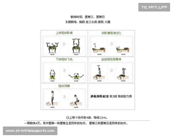 提升力量与耐力的全面健身计划助你塑造完美体型实现健康生活目标 提升力量与耐力的全面健身计划助你塑造完美体型实现健康生活目标